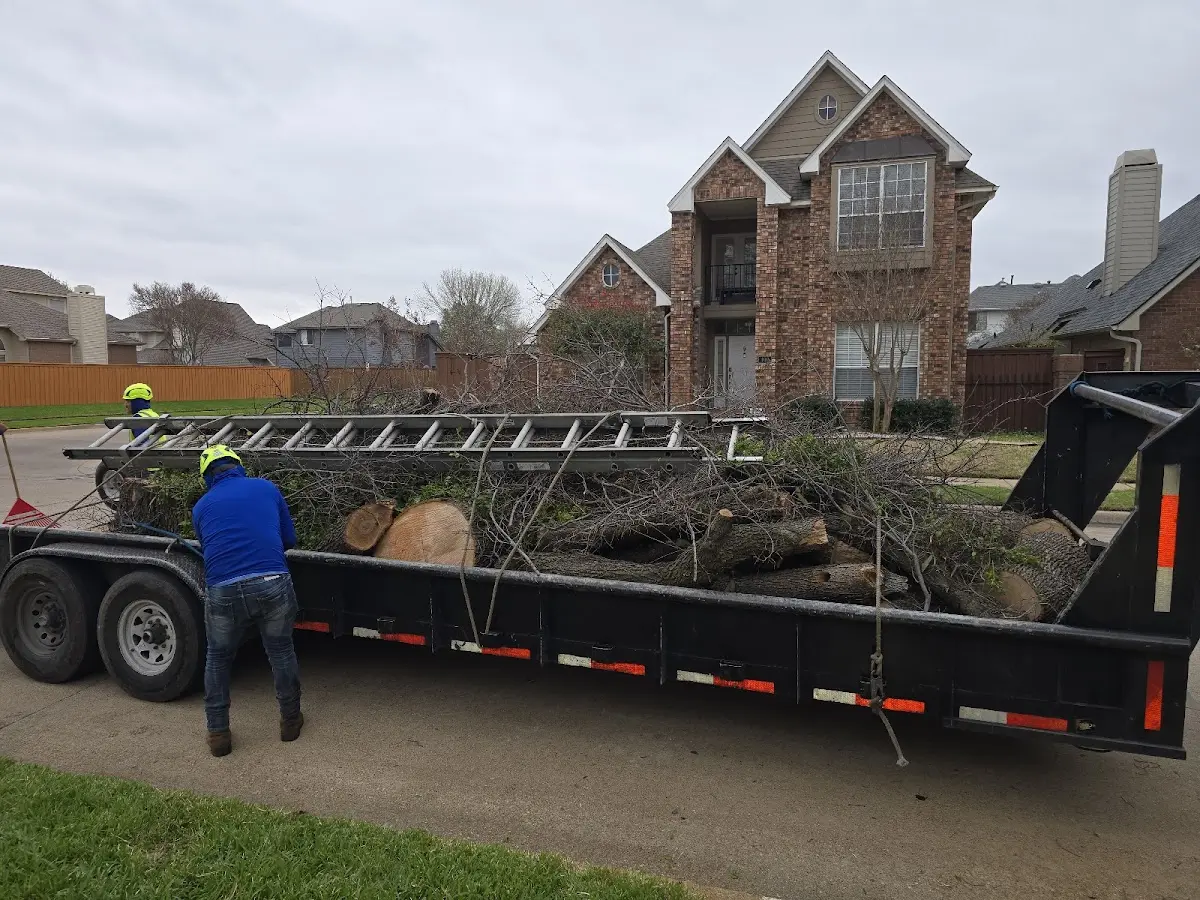 Expert Tree Pest Control with proper safety equipment in Bucyrus